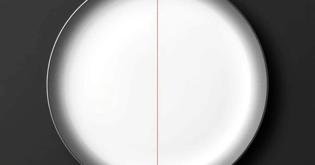 Plato blanco visto desde arriba dividido en cuatro porciones desiguales por líneas rojas